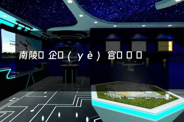 南陵縣企業(yè)官網設計