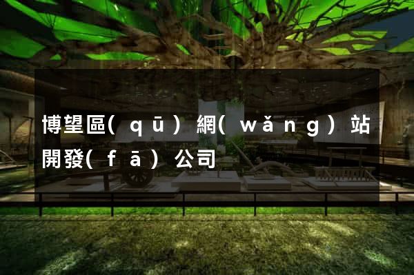 博望區(qū)網(wǎng)站開發(fā)公司