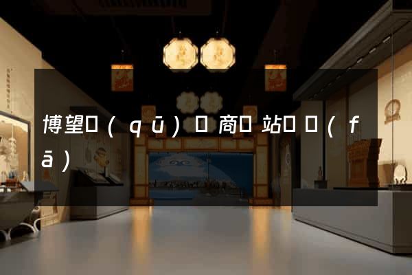 博望區(qū)電商網站開發(fā)