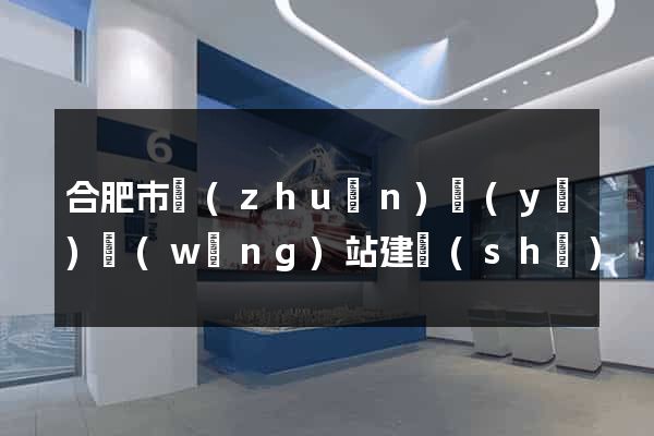 合肥市專(zhuān)業(yè)網(wǎng)站建設(shè)
