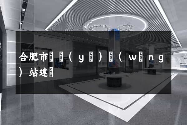 合肥市專業(yè)網(wǎng)站建設