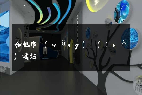 合肥市網(wǎng)絡(luò)建站