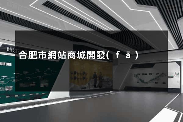 合肥市網站商城開發(fā)