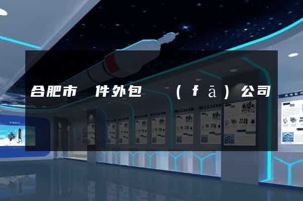 合肥市軟件外包開發(fā)公司