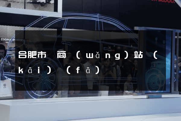合肥市電商網(wǎng)站開(kāi)發(fā)