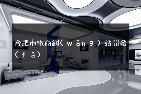 合肥市電商網(wǎng)站開發(fā)