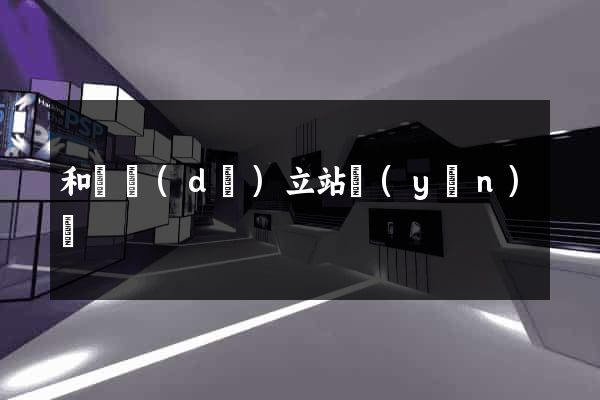 和縣獨(dú)立站運(yùn)營