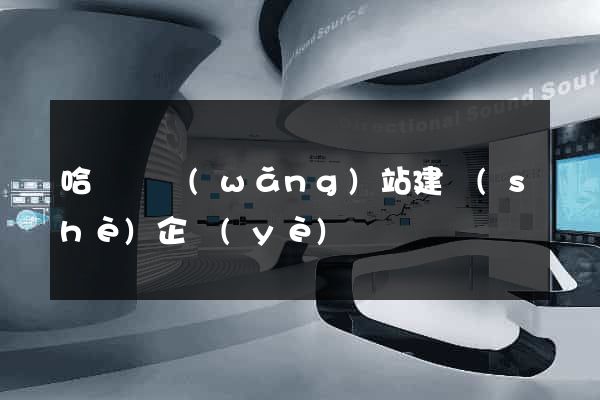 哈爾濱網(wǎng)站建設(shè)企業(yè)