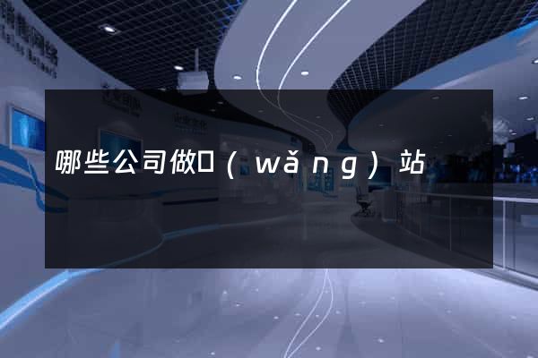 哪些公司做網(wǎng)站