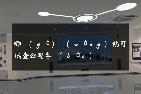 哪個(gè)網(wǎng)站可以查公司年報(bào)