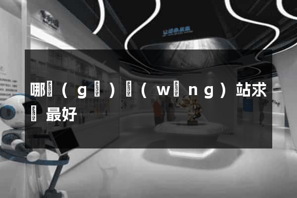 哪個(gè)網(wǎng)站求職最好
