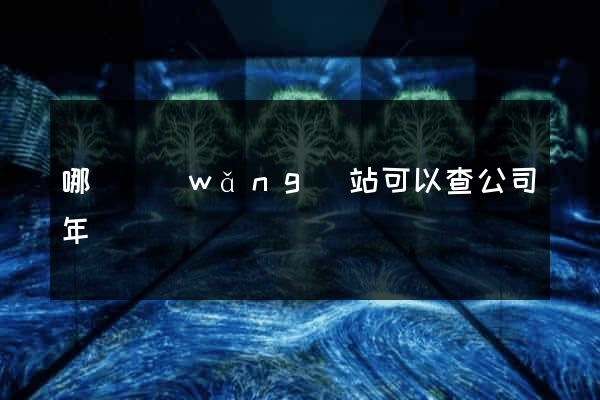 哪個網(wǎng)站可以查公司年報