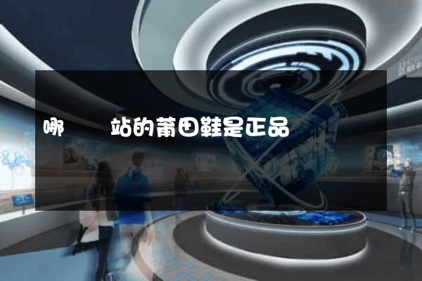 哪個網站的莆田鞋是正品