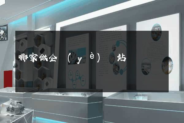 哪家做企業(yè)網站