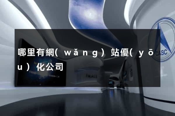 哪里有網(wǎng)站優(yōu)化公司