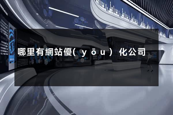 哪里有網站優(yōu)化公司