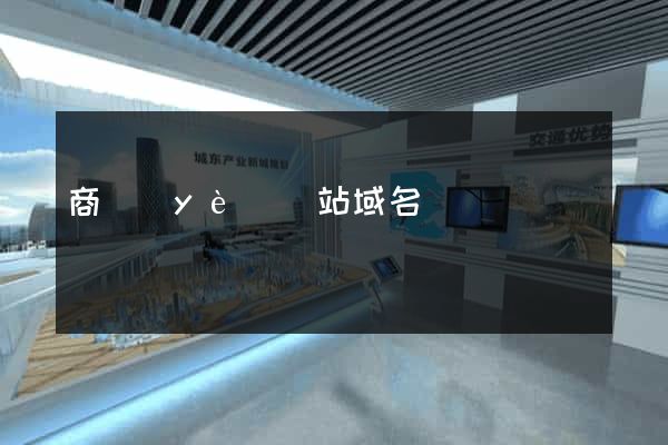 商業(yè)網站域名