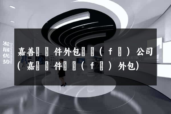 嘉善縣軟件外包開發(fā)公司(嘉興軟件開發(fā)外包)