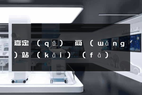 嘉定區(qū)電商網(wǎng)站開(kāi)發(fā)