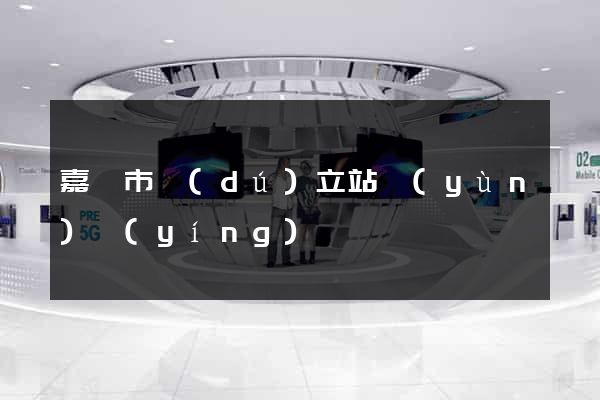 嘉興市獨(dú)立站運(yùn)營(yíng)