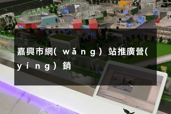 嘉興市網(wǎng)站推廣營(yíng)銷