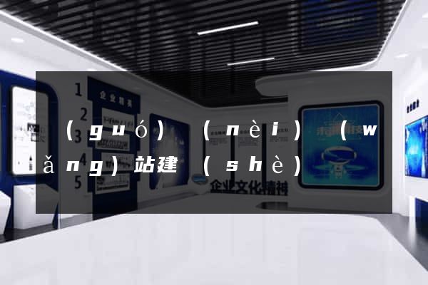 國(guó)內(nèi)網(wǎng)站建設(shè)