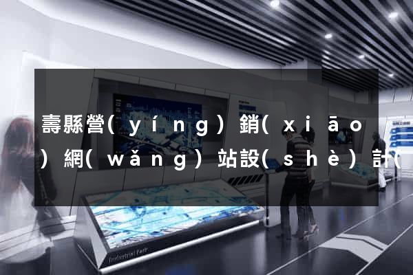 壽縣營(yíng)銷(xiāo)網(wǎng)站設(shè)計(jì)