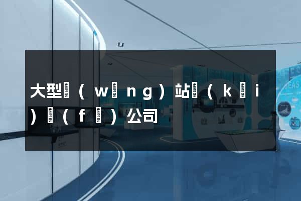 大型網(wǎng)站開(kāi)發(fā)公司