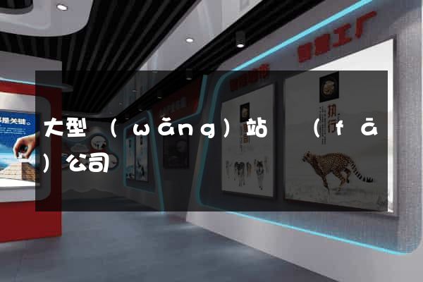 大型網(wǎng)站開發(fā)公司