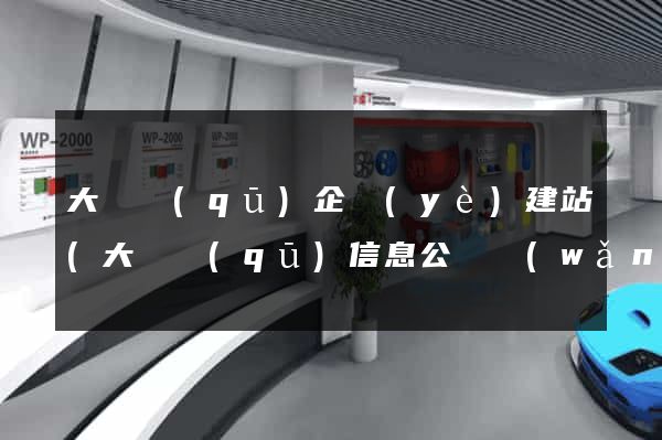 大觀區(qū)企業(yè)建站(大觀區(qū)信息公開網(wǎng))