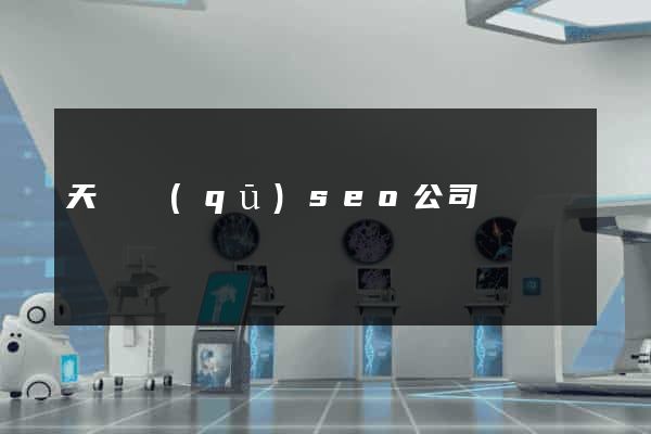 天寧區(qū)seo公司