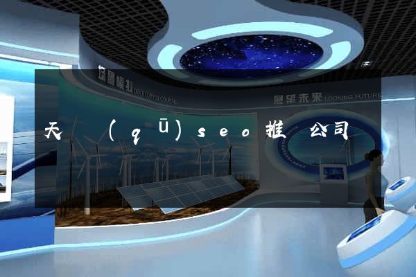 天寧區(qū)seo推廣公司