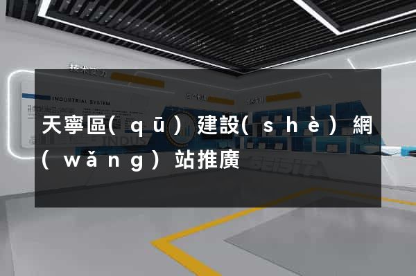 天寧區(qū)建設(shè)網(wǎng)站推廣