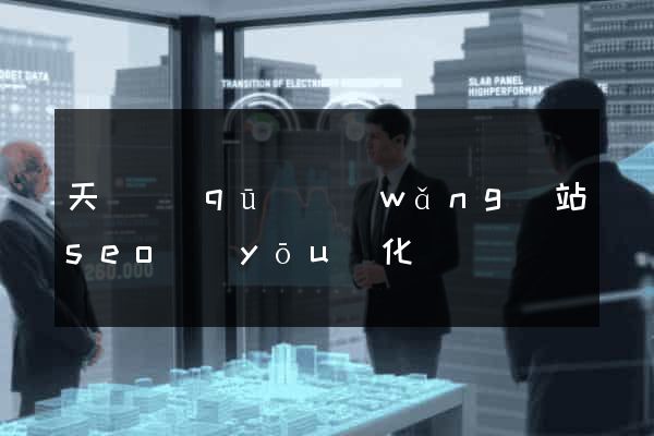 天寧區(qū)網(wǎng)站seo優(yōu)化