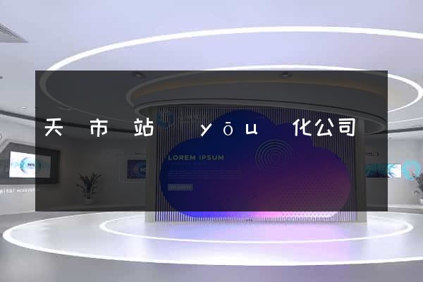 天長市網站優(yōu)化公司