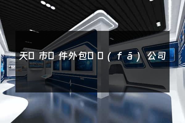 天長市軟件外包開發(fā)公司