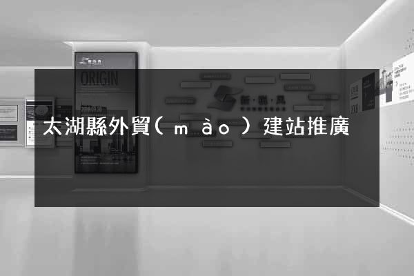 太湖縣外貿(mào)建站推廣