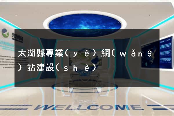 太湖縣專業(yè)網(wǎng)站建設(shè)