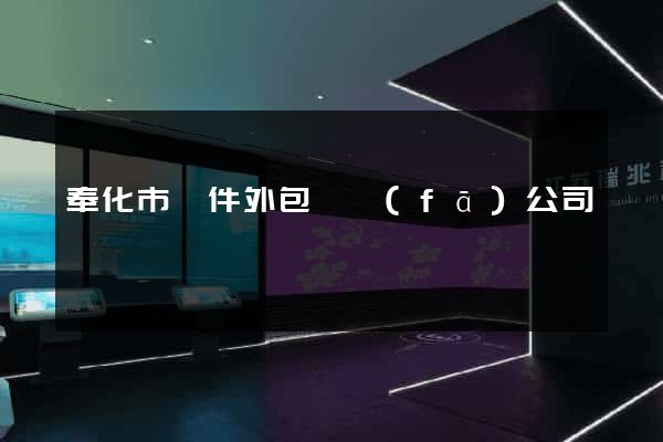 奉化市軟件外包開發(fā)公司