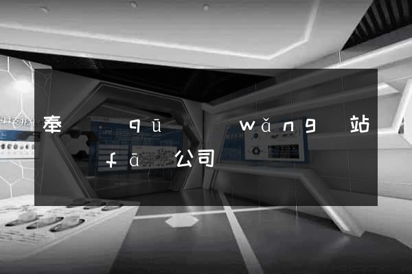 奉賢區(qū)網(wǎng)站開發(fā)公司