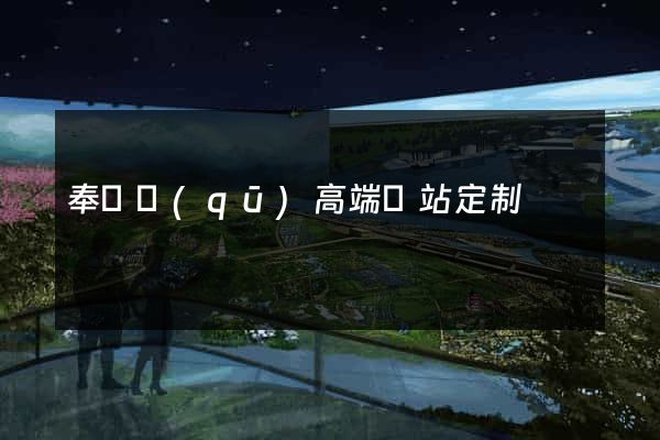 奉賢區(qū)高端網站定制