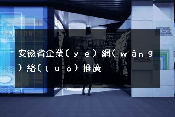安徽省企業(yè)網(wǎng)絡(luò)推廣
