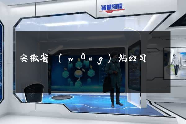 安徽省網(wǎng)站公司
