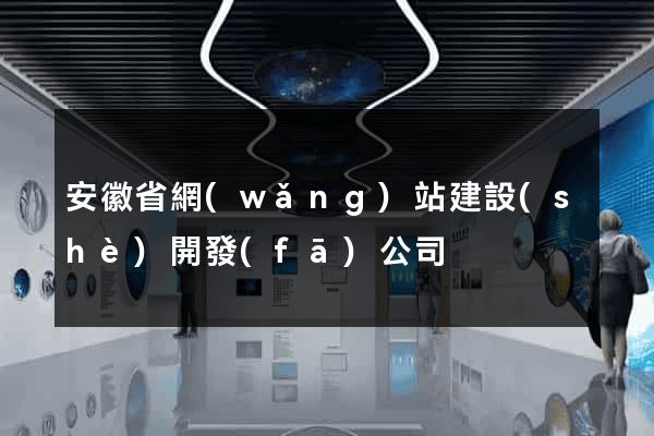 安徽省網(wǎng)站建設(shè)開發(fā)公司