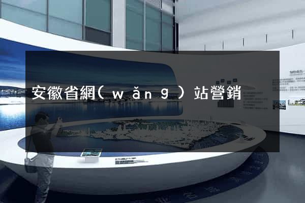 安徽省網(wǎng)站營銷
