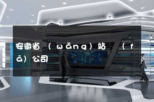 安徽省網(wǎng)站開發(fā)公司