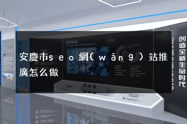安慶市seo網(wǎng)站推廣怎么做