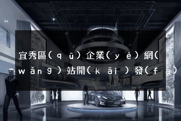宜秀區(qū)企業(yè)網(wǎng)站開(kāi)發(fā)