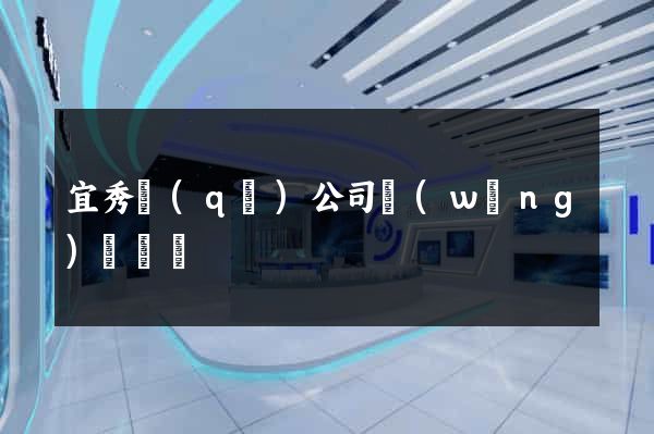 宜秀區(qū)公司網(wǎng)頁設計