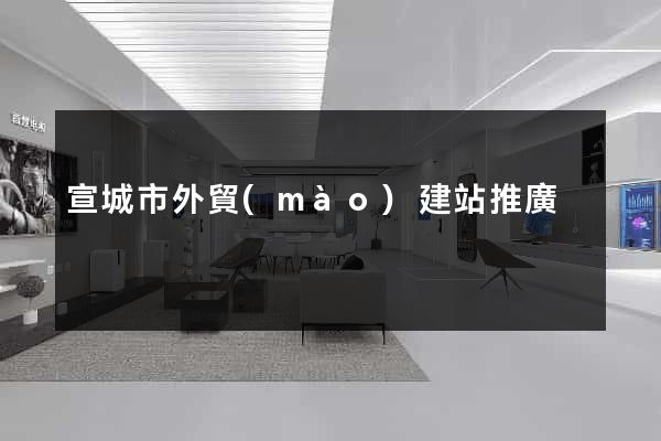 宣城市外貿(mào)建站推廣
